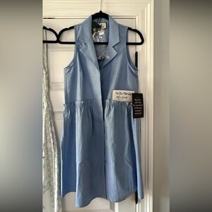 Tuckernuck Oxford Blue Sleeveless Royal Shirt Dress